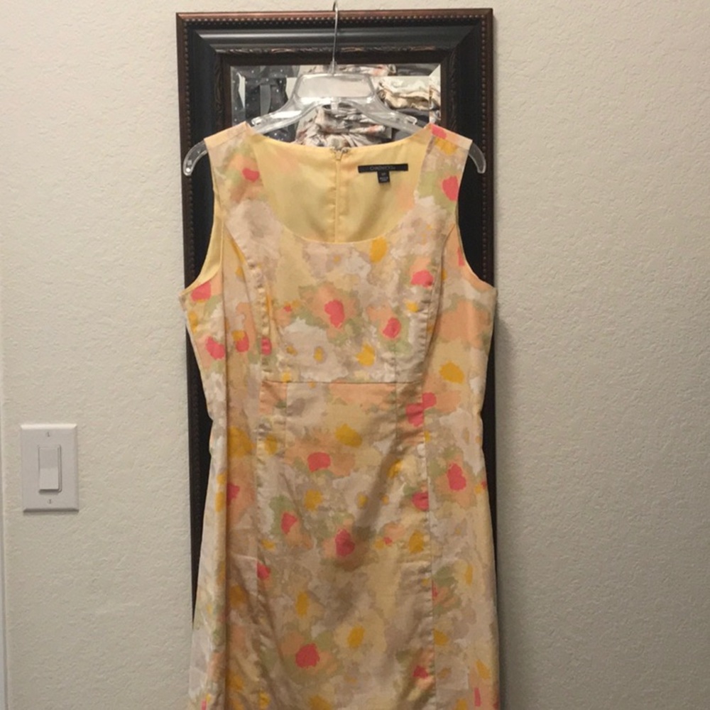 12 Petite form fitting summer dress